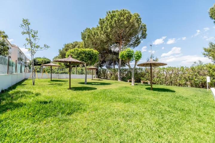 Apartamento Bajo Con Terraza Y Piscina Торевиеха Екстериор снимка